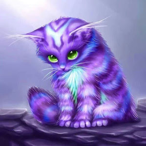 Meet your Posher, Rayya